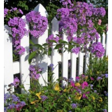 Ароматична олія Сільський сад Country Garden Nature’s Garden Crafts для мила і свічок