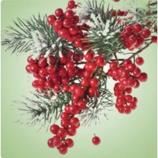Ароматичне масло Pepperberry Wreath від Nature's Garden Crafts – флакон та упаковка