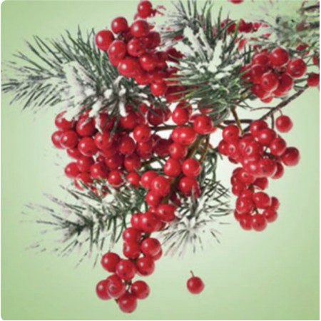 Pepperberry Wreath – ароматичне масло з фруктовими та зеленими нотами Ароматичне масло Pepperberry Wreath від Nature's Garden Crafts – флакон та упаковка
