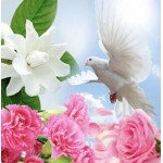 Spiritual Awakening №209, косметичний ароматизатор для мила, свічок, США, ваніль 0%