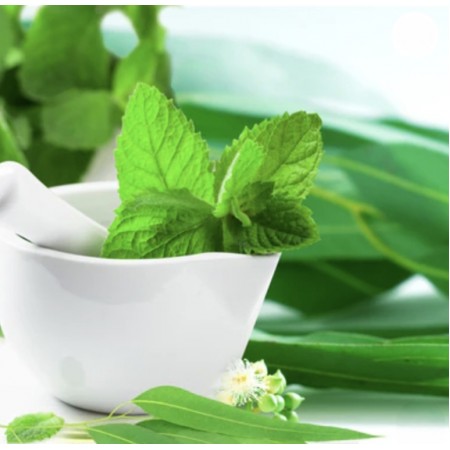 Mint & Eucalyptus Fragrance Oil — освежающее ароматическое масло Ароматическое масло «Мята и эвкалипт» с нотами мяты, эвкалипта, цитрусов и белого мускуса