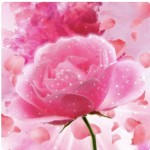 Petal Explosion №259 , косметическая отдушка для мыла, свечей ручной работы, США,ваниль 0,8% Petal Explosion №259 , косметическая отдушка для мыла, свечей ручной работы, США,ваниль 0,8%