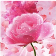 Ароматична олія Petal Explosion з нотами троянди, жасмину, квітки апельсина та сандалового дерева