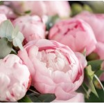 Pink Peony Paradise №260 , косметична віддушка для мила, свічок ручної роботи, США, ваніль 0% Pink Peony Paradise №260 , косметична віддушка для мила, свічок ручної роботи, США, ваніль 0%