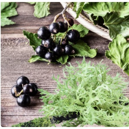 Currant and Oakmoss Fragrance Oil — Nature's Garden Crafts США Ароматическое масло «Смородина и дубовый мох» Nature's Garden Crafts с нотами черной смородины и дубового мха