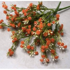 Кущ колючки фіолетовий