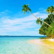 Косметическая отдушка Island Escape,  про-ль США (Brambleberry), ваниль 0,60%