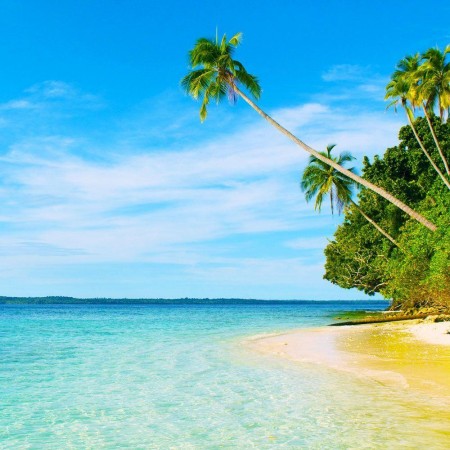 Косметическая отдушка Island Escape,  про-ль США (Brambleberry), ваниль 0,60%