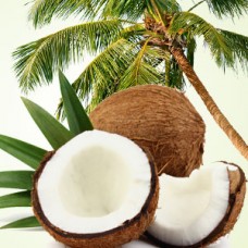Ароматична олія Coconut Craziness – тропічний коктейль для мила та свічок