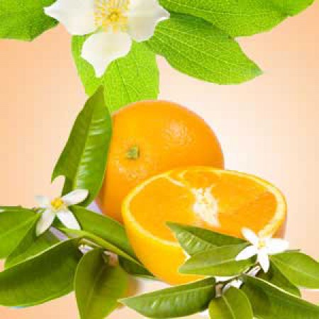 Ароматична олія Orange Blossom Nature’s Garden для свічок і мила