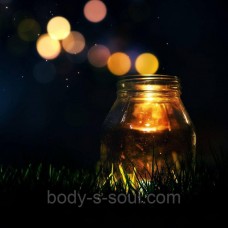 Косметическая отдушка LoveSpell,  про-ль США (Brambleberry), ваниль 0%
