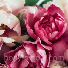 Peony and Amberwood,  про-ль США (Brambleberry), ваниль 0%