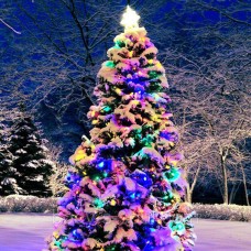 Christmas Forest,  про-ль США (Brambleberry), ваниль 0%