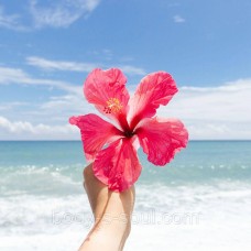 Sweet Nectar and Hibiscus,  про-ль США (Brambleberry), ваниль 0%