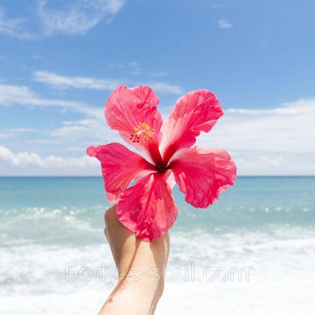 Sweet Nectar and Hibiscus, про-ль США (Brambleberry), ваниль 0% Sweet Nectar and Hibiscus, про-ль США (Brambleberry), ваниль 0%
