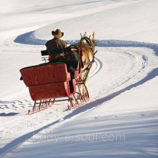 Sleigh Ride,  про-ль США (Brambleberry), ваниль 0%