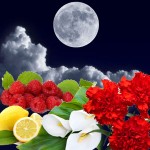 Лунное затмение №118, косметические отдушки для мыла, свечей, косметики ручной работы, США, ваниль 0%