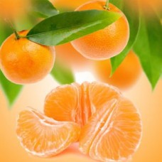 Tangerine Dreams Fragrance Oil ароматичне масло мандарин ваніль зелень