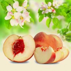 Ароматична олія «Білий персик і шовкові квіти» – Nature's Garden Crafts