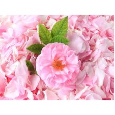 Отдушка  для мыла Чайная Роза, Floressence