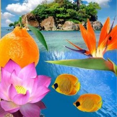 Ароматична олія Paradise Reef Nature's Garden Crafts
