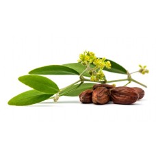 Отдушка для мыла и косметики жожоба, Floressence