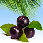 Косметичні віддушки для мила, свічок, косметики ручної роботи №23 ACAI BERRY Косметичні віддушки для мила, свічок, косметики ручної роботи №23 ACAI BERRY