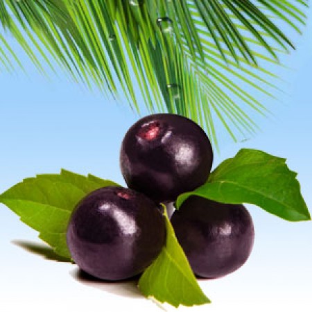 Acai Berry ароматичне масло Nature’s Garden Crafts Ароматичне масло Acai Berry – екзотичний ягідний аромат