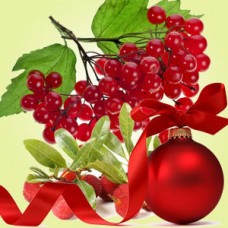 Kringle Berry №106, віддушка виробництва США
