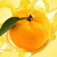 Ароматичне масло Yuzu від Nature's Garden Crafts – флакон та упаковка