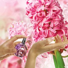 Ароматична олія Chance of a Lifetime Nature's Garden Crafts