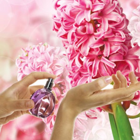 Ароматична олія Chance of a Lifetime Nature's Garden Crafts