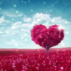 Ароматичне масло Endlessly in Love – фруктово-квітковий романтичний аромат для мила та свічок