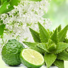 Ароматична олія Aloe & White Lilac Nature’s Garden Crafts квітковий свіжий аромат