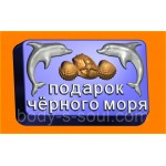 Пластиковая форма 559 - Подарок моря Пластиковая форма 559 - Подарок моря