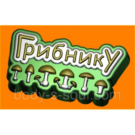 Пластикова форма 539