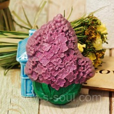 Пластиковая форма  Кисть сирени