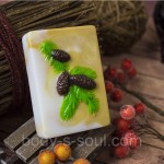 Пластиковая форма Шишки Пластиковая форма Шишки